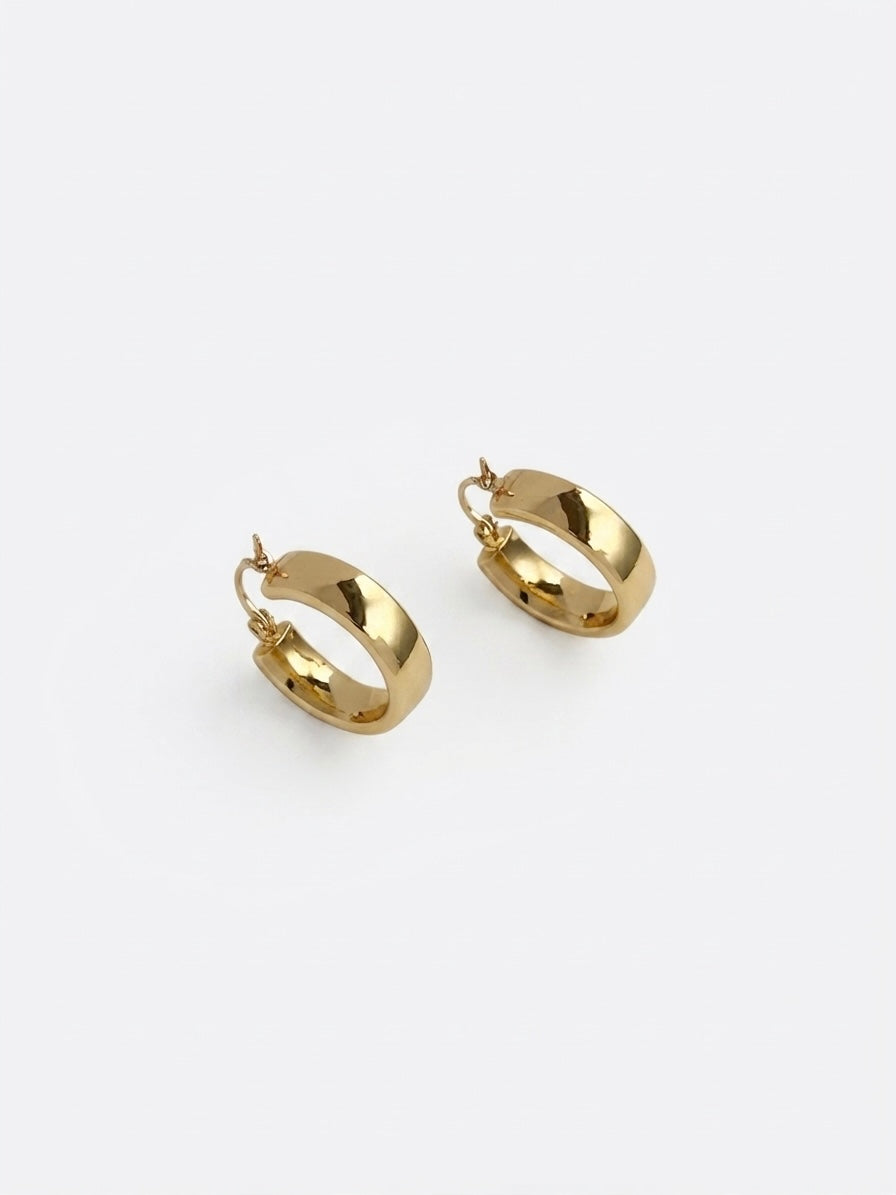 Two gold bird-shaped charms on a white background